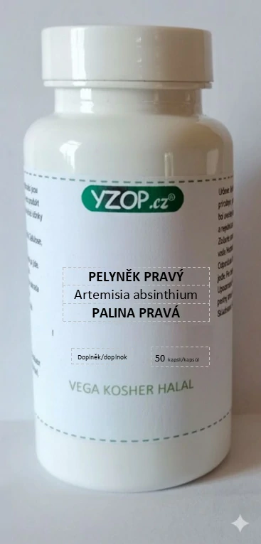 Bylinné kapsle Pelyněk pravý