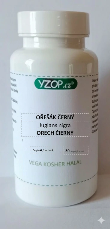 Bylinné kapsle Ořešák černý