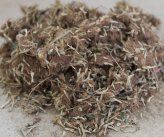 Albície hedvábná 50 g