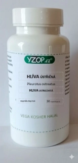 Houbové kapsle Hlíva ustřičná    