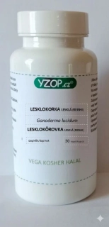 Houbové kapsle Reishi  